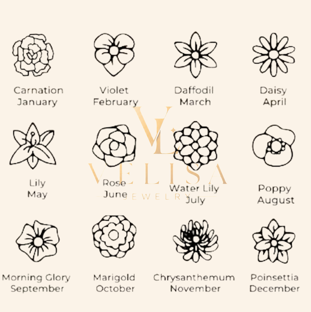 Birth flower chart naming the flower for each month from January to December